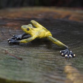 Bunte Froschfigur für den Garten aus Bronze - Gelber Frosch
