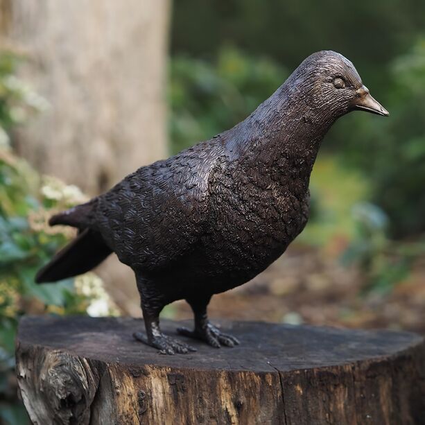 Schne Bronze Vogelfigur - stehende Taube - Taube Morat