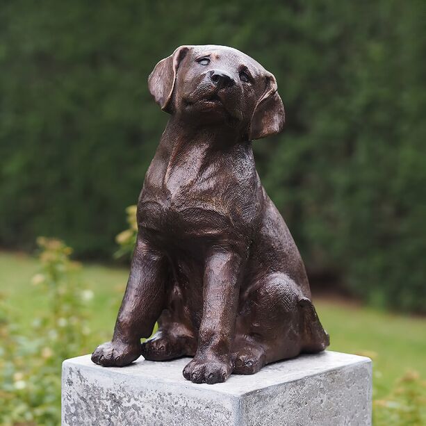 Brauner Welpe als Outdoor-Bronzeskulptur - Hund Pina