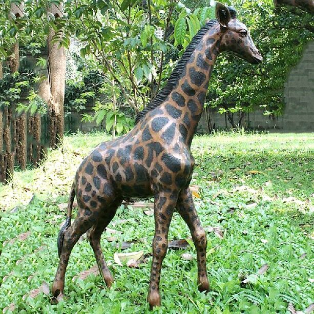 Besondere Bronze Tierfigur Giraffe - Giraffe Dredo