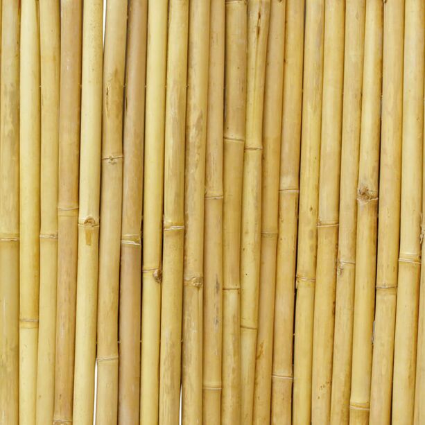 Flexibler Bambus Zaun als Sichtschutz für den Garten - Tiara