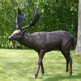 Junger Hirschbulle als Garten Bronzeskulptur -...
