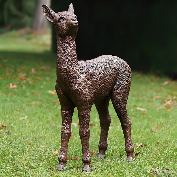 Alpaka Jungtier aus Bronze in Lebensgre fr drauen - Baby Alpaka