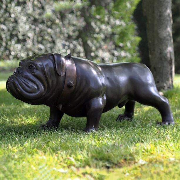 Massige Bulldogge mit Halsband aus Bronze in lebensgro - Bulldogge Feifel