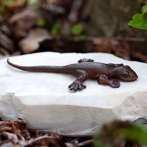 Kleine Salamander Gartenfigur aus Bronzeguss auf Stein - Salamander Lio