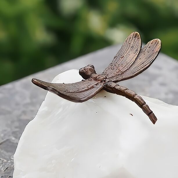 Kleine Libelle sitzt auf Stein - Bronze Gartenfigur - Libelle Ero