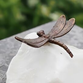 Kleine Libelle sitzt auf Stein - Bronze Gartenfigur -...