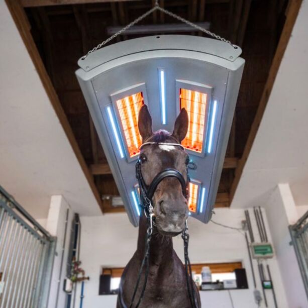 Hängendes Infrarot Pferdesolarium mit Heizer und LED - Hisan