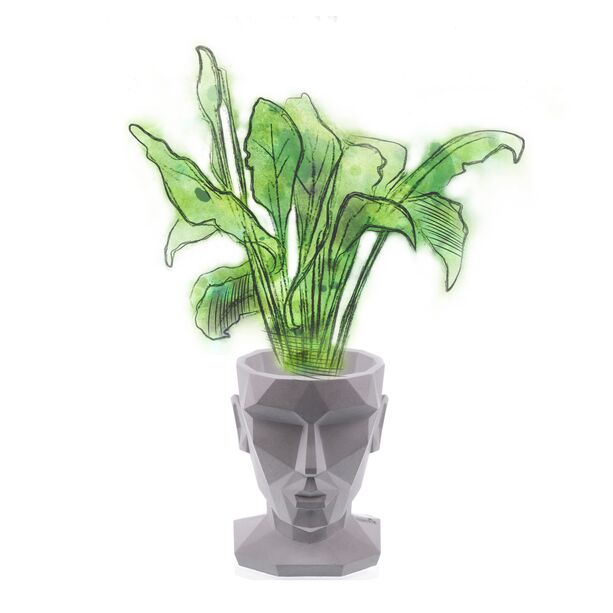 Moderner Frauen Kopf Pflanztopf aus Beton - Aphrodite Design - Morahby / ohne Farbe