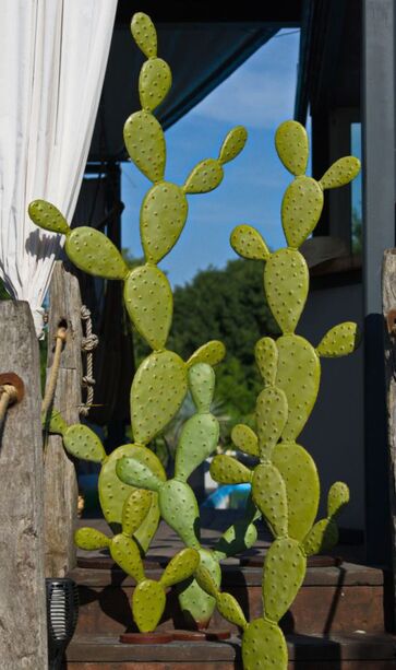 Groer ganzjhrig grner Deko Kaktus aus Eisen - Fayola L