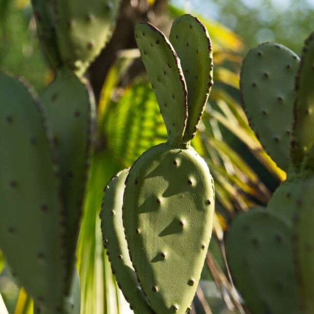 Hellgrner XL Deko Kaktus aus Eisen - Gazaley