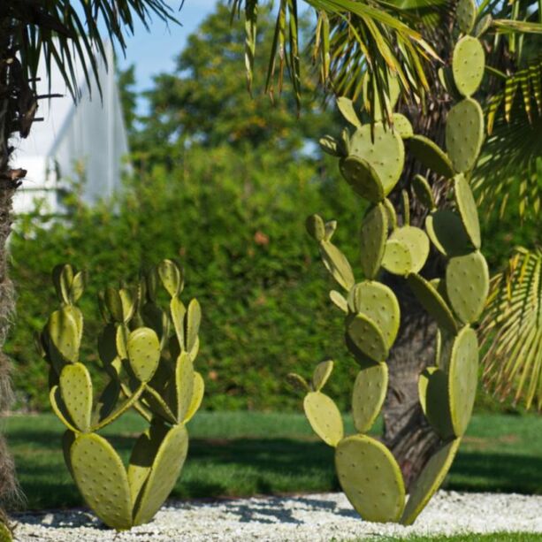 Hellgrner XL Deko Kaktus aus Eisen - Gazaley