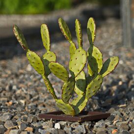 Kleiner grner Eisen Kaktus fr Wstendekoration - Shaquan