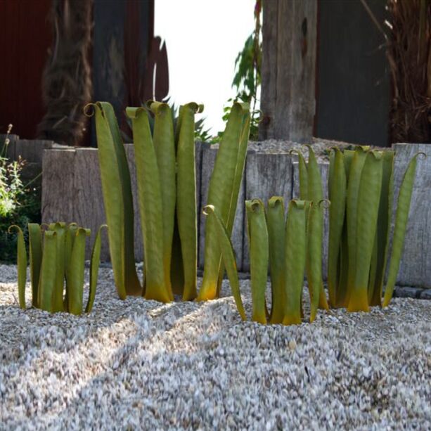 Immergrner Bogenhanf aus Metall - einzigartige Kaktus Dekoration - Ayna
